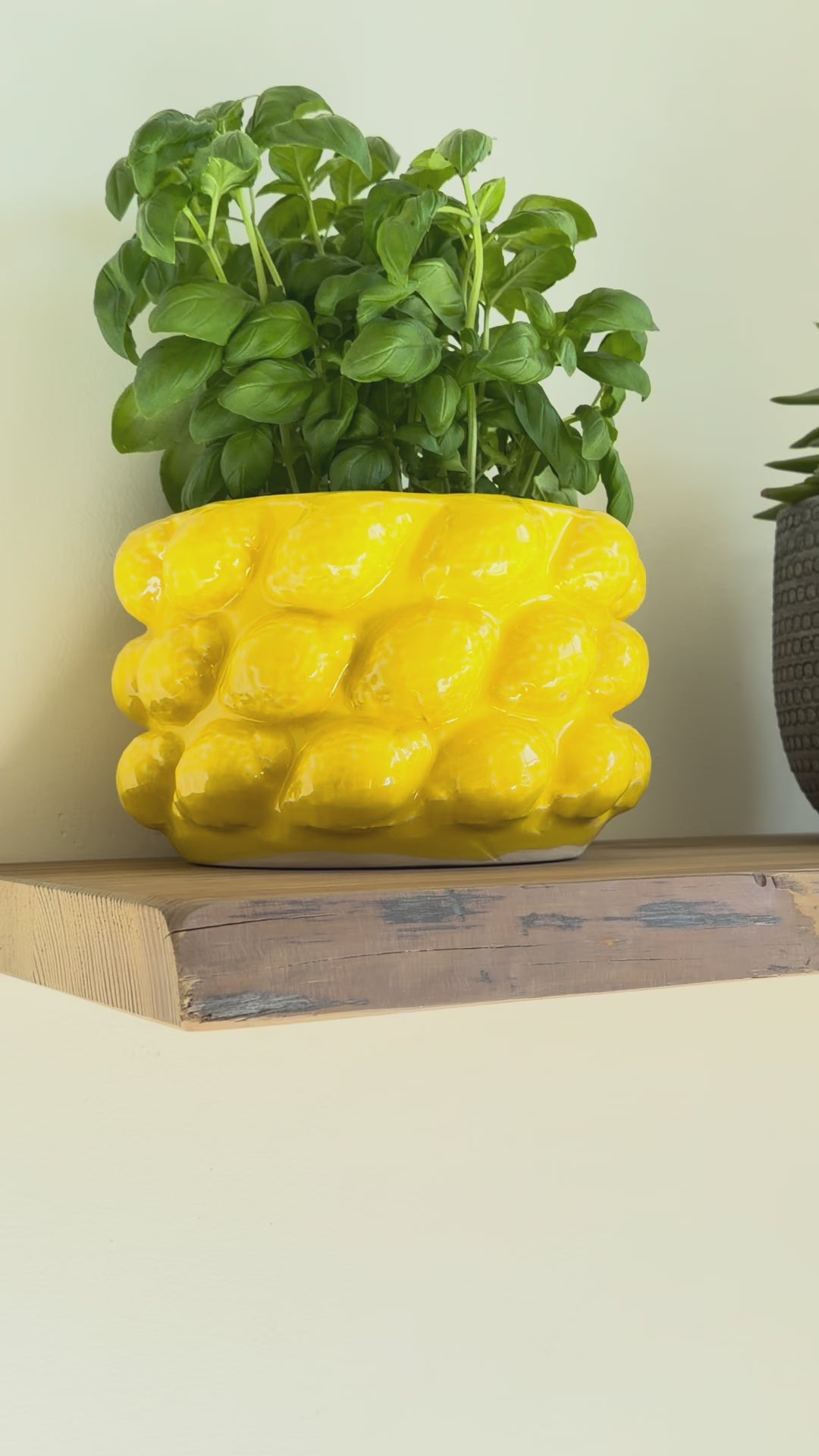 zwevende-wandplank-tobacco,https://cdn.shopify.com/s/files/1/0993/7508/7880/files/BO-Shelf-Mount-1200-1.png?v=1760352111,Zwevende wandplank tobacco — montagedetail | Bolikson
